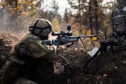 post #262